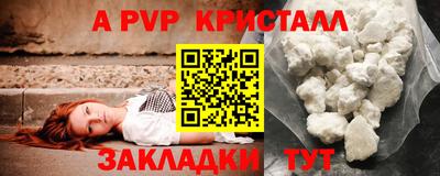 эйфоретик Тара