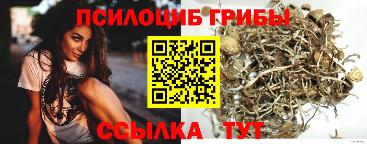 Белая Калитва  Галлюциногенные грибы Psilocybine cubensis  Псилоцибиновые грибы Magic Shrooms  купить   Вход с VPN 
